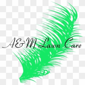 A&m Lawn Care - Illustration, HD Png Download - lawn care png