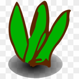 Shrub Bushes Clipart Green Plant - Clipart Small Bush Transparent, HD Png Download - arbusto png