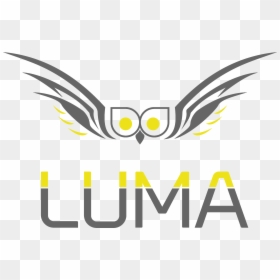 Leave A Reply Cancel Reply - Bird Of Prey, HD Png Download - luma png