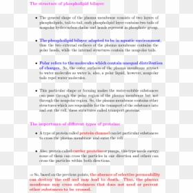 Screenshot, HD Png Download - cell membrane png