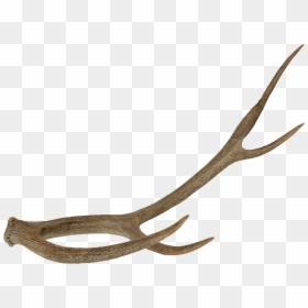 Five Prong Resin Horn - Deer Horn Png, Transparent Png - ram horns png