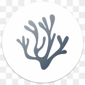 Vscode Vs Vscodium, HD Png Download - swap icon png