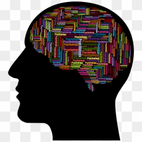 Transparent Psychology Icon Png - Psychology Brain Clipart, Png Download - human brain clipart png