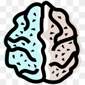 Vector Illustration Of Human Brain Left And Right Hemisphere, HD Png Download - human brain clipart png