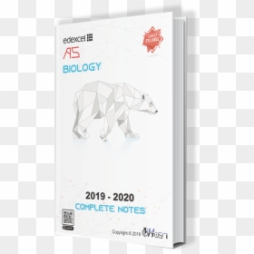 Polar Bear, HD Png Download - old papers png