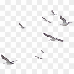 #watercolor #birds #flock #flying #flight #nature #soar - Bird Flying Watercolor Png, Transparent Png - white birds flying png