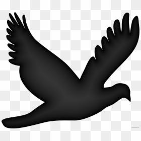Flying Dove Animal Free Black White Clipart Images - Clipart Of Flying Birds, HD Png Download - white birds flying png