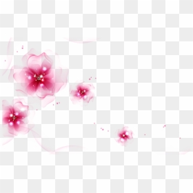 5 By Ilabsnsd02 Flower Wallpaper, Hd Wallpaper, Wallpapers, - Flower Vector, HD Png Download - flower wallpaper png