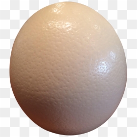 Ostrich Eggs Png Image Black And White Stock - Sphere, Transparent Png - white eggs png