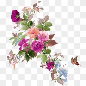 Png V - Flower Png Free Download, Transparent Png - flower wallpaper png