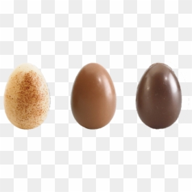 Egg, HD Png Download - white eggs png