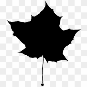 Leaf Silhouette - - Autumn Leaf Silhouette Png, Transparent Png - pipal leaf png