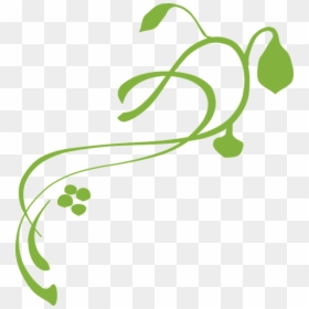 Vine, Decoration, Green, Plant, Design, Floral - Vines Clip Art, HD Png Download - green border design png