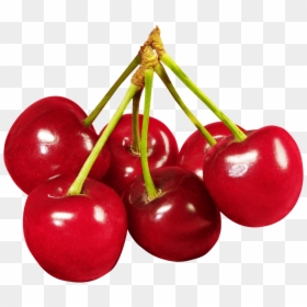 Cherry Fruit Png - Transparent Background Cherries Clipart, Png Download - cherry fruit png