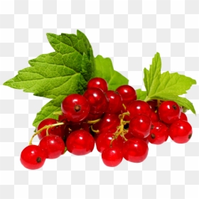 Currant Png, Transparent Png - cherry fruit png