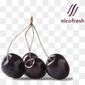 Transparent Cherry Png - All Color Things Black, Png Download - cherry fruit png