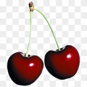 #freetoedit #cherry #red ##fruit #fruits #aesthetic - Aesthetic Cherry Png, Transparent Png - cherry fruit png