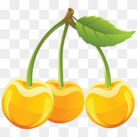 Transparent Cherry Png - Yellow Cherry Png, Png Download - cherry fruit png