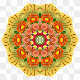 Flower,petal,yellow - Orchidae, HD Png Download - flower boquet png