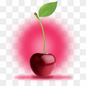Black Cherry, HD Png Download - cherry fruit png