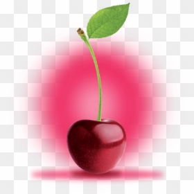 Black Cherry, HD Png Download - cherry fruit png