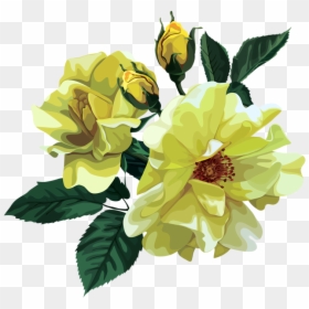 Rose Bouquet Cli̇part Transparent - Rose, HD Png Download - rose flower bokeh png