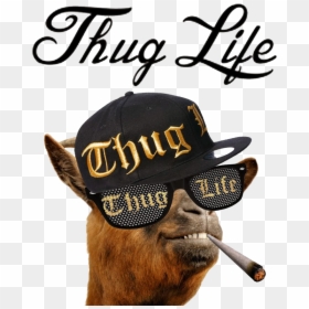 Thug Life Png - Thugs Life, Transparent Png - thuglife png