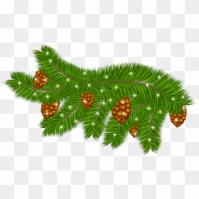 Transparent Pine Branch With Pine Cones Png Clipart - Portable Network Graphics, Png Download - trees .png