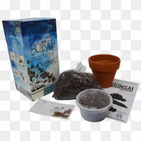 Diy Miniature Indoor Bonsai Tree Garden - Java Coffee, HD Png Download - tree garden png