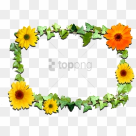 Free Png Sunflower Frame Png Png Image With Transparent - Printable Design Floral Border, Png Download - framepng