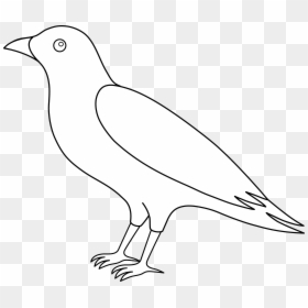 Crow Clipart Flying - Crowdrawing Outline, HD Png Download - crow png images