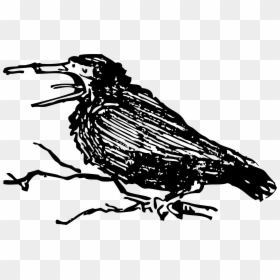Old Crow Clip Arts - Old Crow Bird, HD Png Download - crow png images