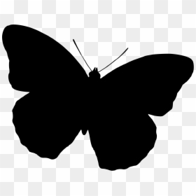 Butterfly Silhouette Clip Art - Free Butterfly Silhouette Clip Art, HD Png Download - butterfly png for photoshop