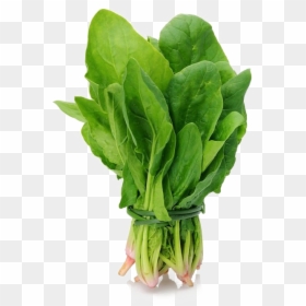 Spinach Png - Spinach Vegetable, Transparent Png - vegetable png images