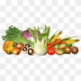 Vegetables, Mixed, Food, Cooking, Healthy, Harvest - Harvest Vegetables Png, Transparent Png - vegetable png images