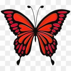 Red Butterfly Png - Blue Butterfly Clip Art, Transparent Png - png images of butterfly