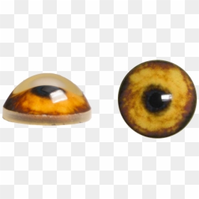 Realistic Eye Png -wolf Eyes Png - Wolf Eye Png, Transparent Png - eyes png images
