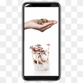 Smartphone, HD Png Download - mashroom png