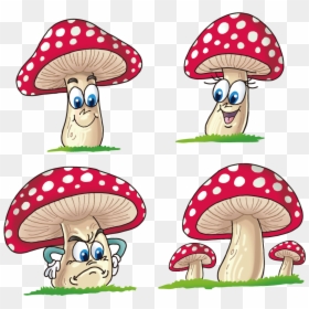 Fungus Cartoon Mushrooms Transprent - Cartoon Mushroom Drawing, HD Png Download - mashroom png