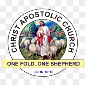 The Christ Apostolic Church - Nigeria Christ Apostolic Church Logo, HD Png Download - church png images
