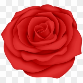 Free Png Download Red Rose Flower Transparent Png Images - Rose With Transparent Backgrounds, Png Download - red rose flower png