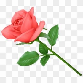 Red Rose Green Leaves Clipart Free Png Download - Rose Png Background Hd, Transparent Png - red rose flower png