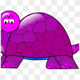 Tortoise Clipart Face - Turtle Clip Art, HD Png Download - tortoise clipart png