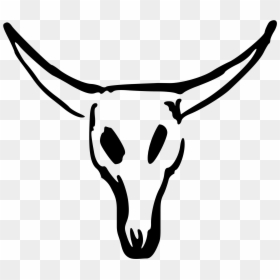 Clip Art Bull Skull Clip Art - Cow Skull Drawing Easy, HD Png Download - indian bull png