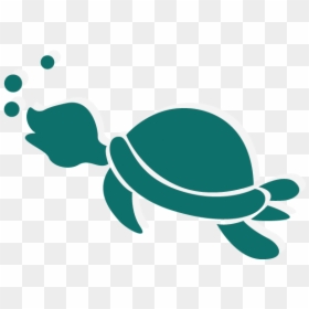 Cute Cartoon Tortoise Turtle Png Download - Transparent Background Cute Sea Turtle Clipart, Png Download - tortoise clipart png