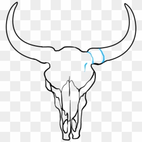 How To Draw A - Cow Skull Drawing Easy, HD Png Download - indian bull png