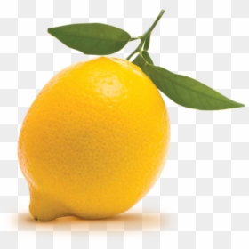 Lemon Png Download - Lemonlogo Transparent, Png Download - lemon png image