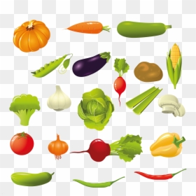 Vegetable Illustration Free, HD Png Download - potato clipart png