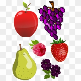 Fruits, Food Group - Ilustrasi Gambar Buah Buahan, HD Png Download - healthy food clipart png