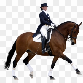 V - 0 - 8 346 - 7 Kbytes - Horse Riding, Mob Hd - Horse Dressage Png, Transparent Png - horse png hd